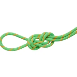 8.0 Alpine Dry Rope - Half rope