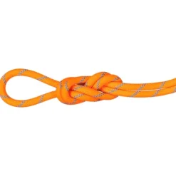 8.7 Alpine Sender Dry Rope - Single rope