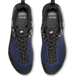 Alnasca IV Low GTX - Approach shoes