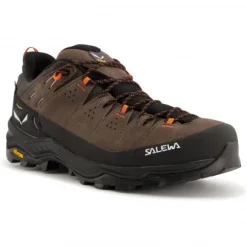 Alp Trainer 2 GTX - Multisport shoes