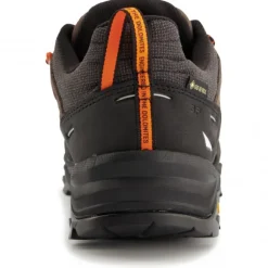 Alp Trainer 2 GTX - Multisport shoes