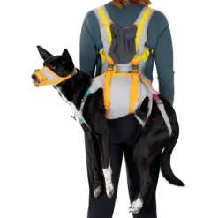 BackTrak Dog Evacuation Kit - Dog accessories